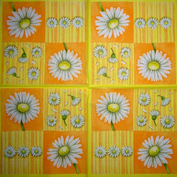 120 Daisies  - 3 ply